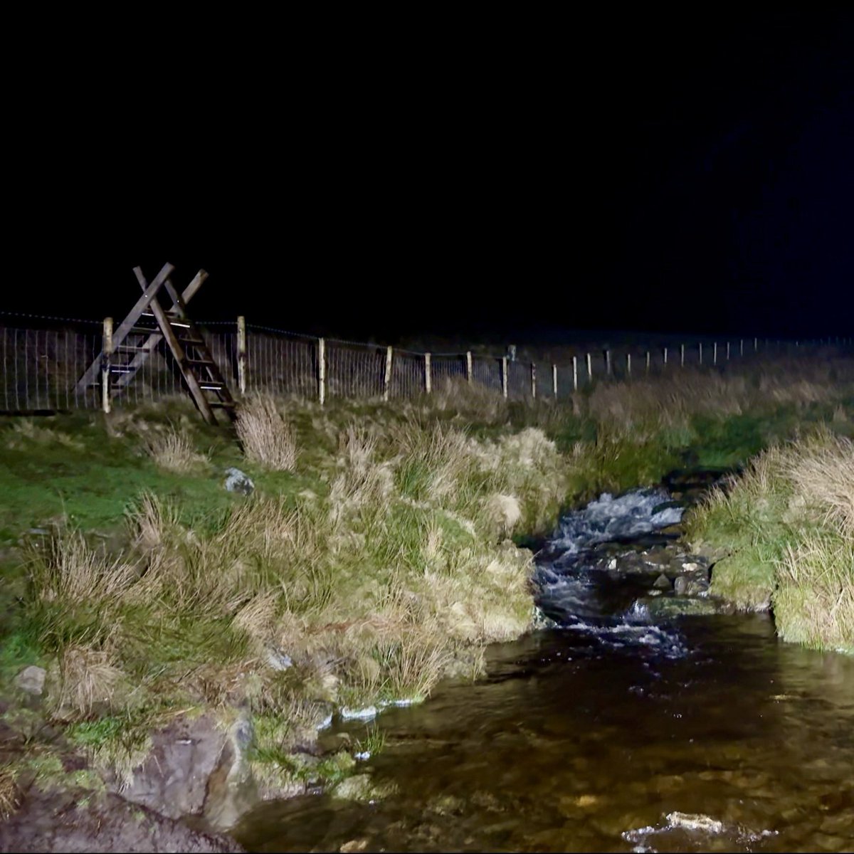 Sort Of Interesting tweet media