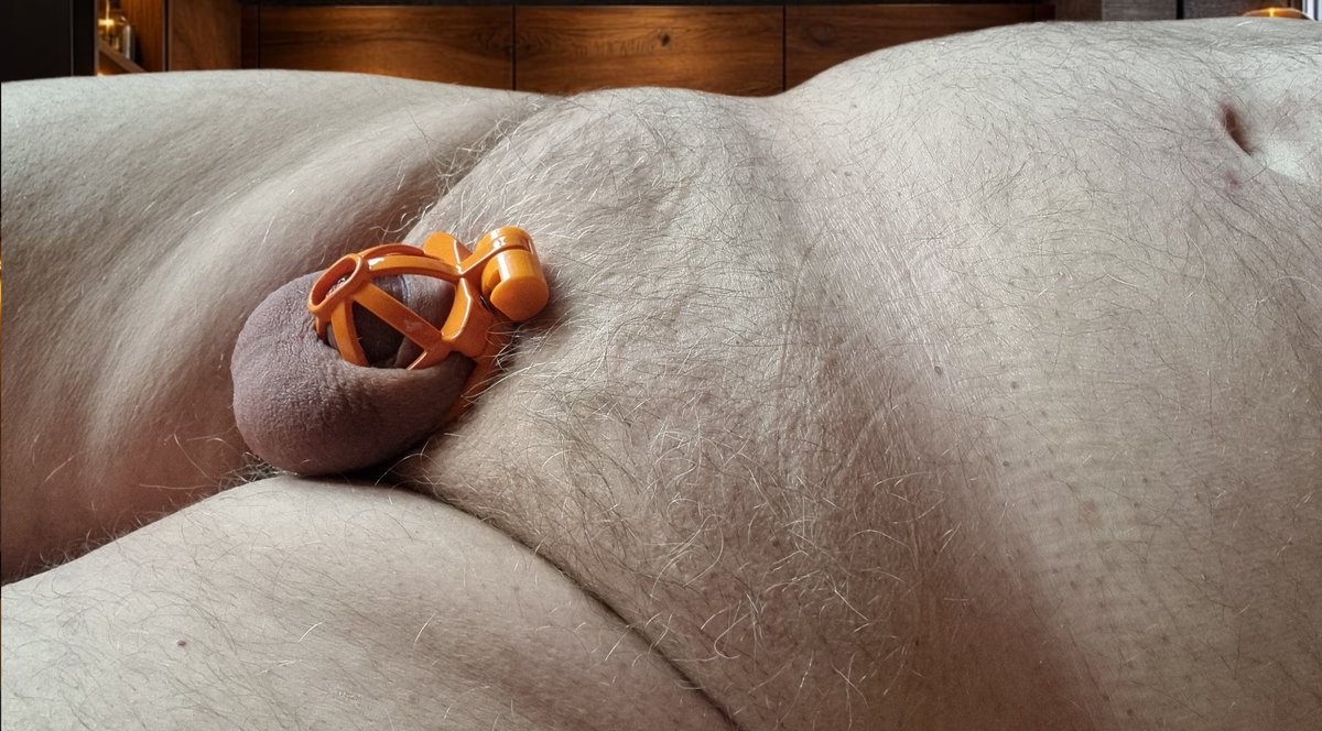 Paradiesvogel64's tweet photo. #chastity #lockthecock #caged #smallpenis #shrimp #sph #humiliation #cuckold #keusch #keuschhaltung #verschlossen #kleinschwanz #kleinerschwanz #minipimmel https://t.co/y5zUlpq3o1