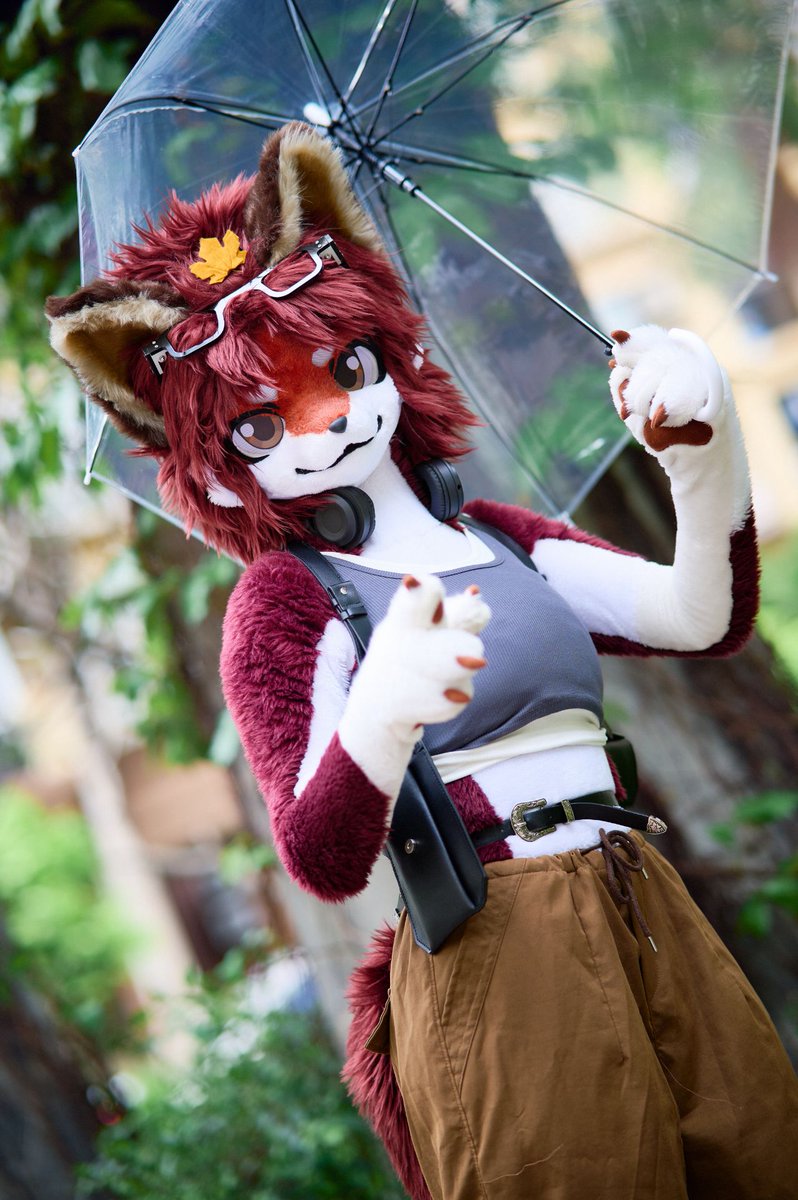 祈橘 ききつ🍁🦊➡️JMOF2026 tweet media