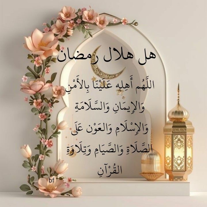 MMsfer tweet picture