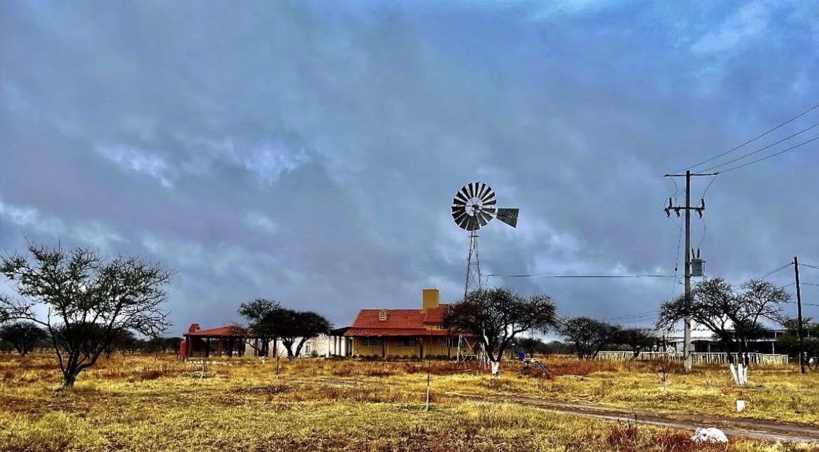 godste's tweet photo. Terrenos en venta 2000.00m2. 

Se aceptan ofertas y se pueden negociar condiciones de pago.

Escritura entregando enganche. 
Precio $200,000.00
Contado $169,700.00 (pueden ser dos pagos.)
Precio por lote de 1000 metros 
$84,500.00
Cel 0 618 806 2312
Solo gente interesada https://t.co/nwwQdOaeqp