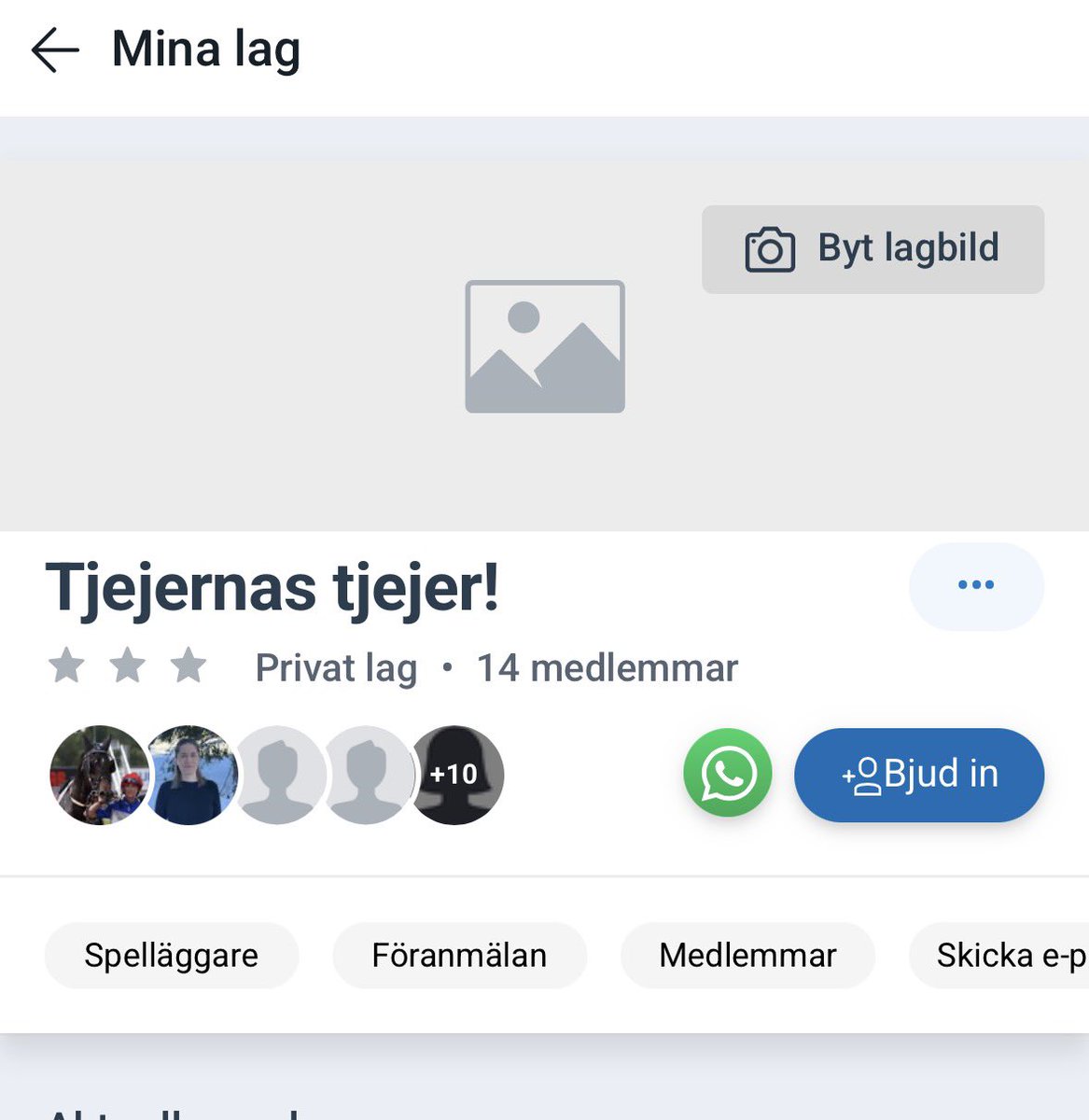 Emma Mattsson tweet media