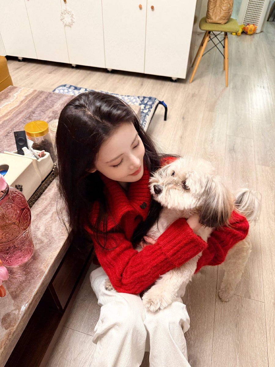 sun zhenni pics tweet media