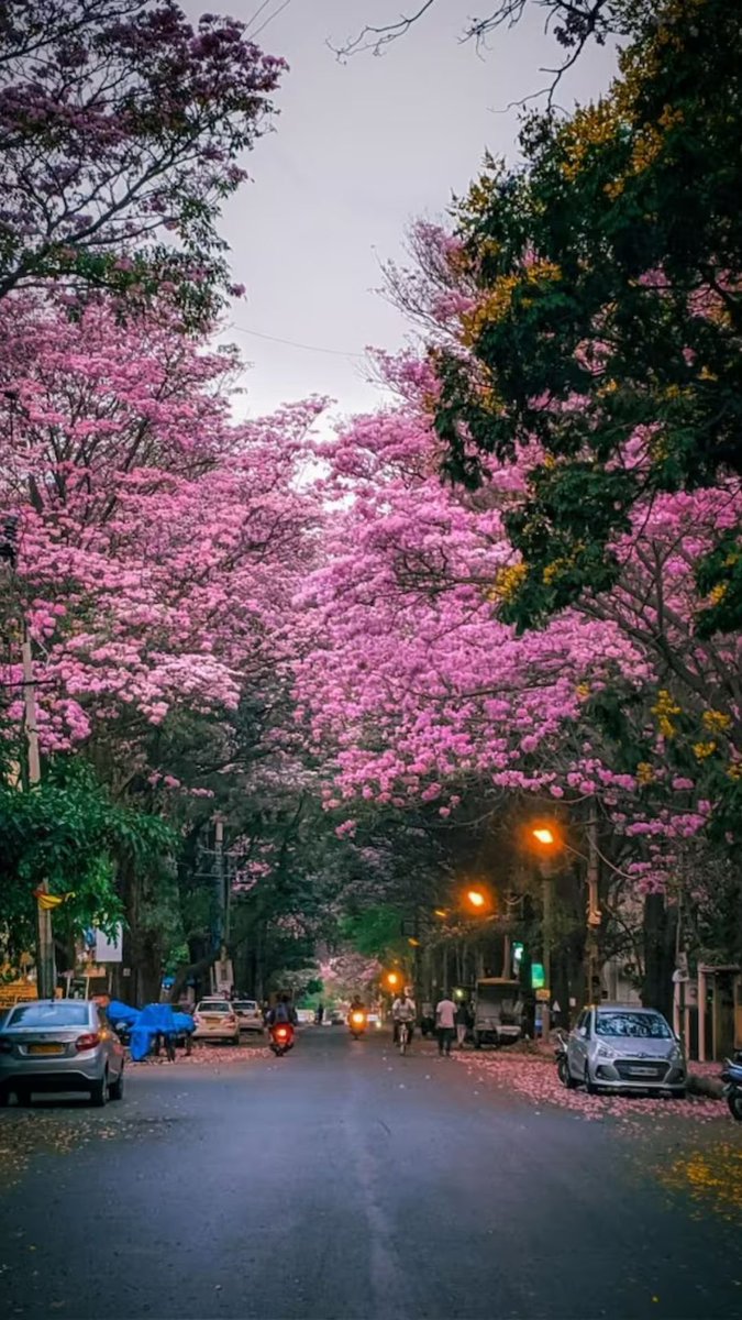 Prashobh Chandralayam tweet media