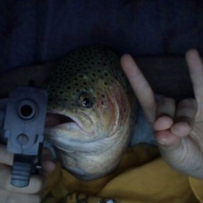 We got one of the best devs and community in whole of ct rn
Dev showing up daily putting in work, contacting exchanges and potential collaborators and you think it won't payout? Don't be troutlined
$bigtrout SZN incoming know what you hold