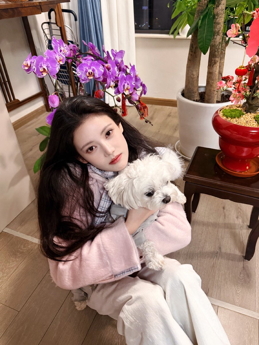 sun zhenni pics tweet media