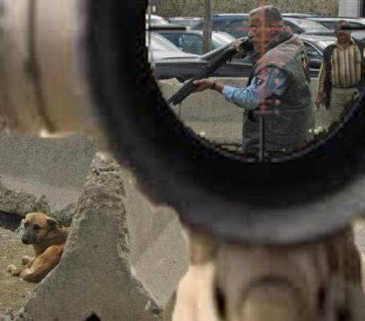 CanVet811's tweet image. First image that comes to my mind, must be habit I guess