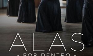 Compañía Lizt Alfonso celebra su 35 aniverario. Visitas guiadas a la sede de la institución y la puesta en escena del espectáculo Alas –por dentro– inician los festejos.
<a href="/PaulinoPrezVie1/">Paulino Pérez Viera</a> 
<a href="/Emp_Avilmat/">Empresa Materiales de Construcción Ciego de Ávila</a> 
#Avilmat