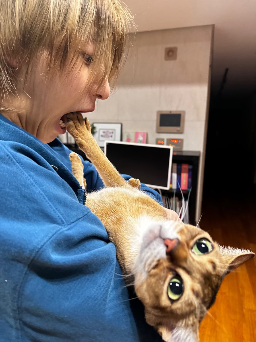woo_038's tweet photo. わんぱくねこ
2枚目はどういう気持ちなの https://t.co/MsbTFvt32P