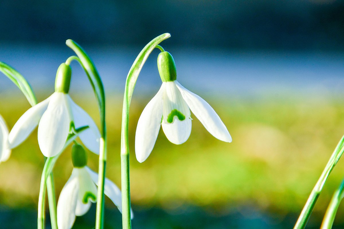 Cork County Council Library & Arts Service tweet media