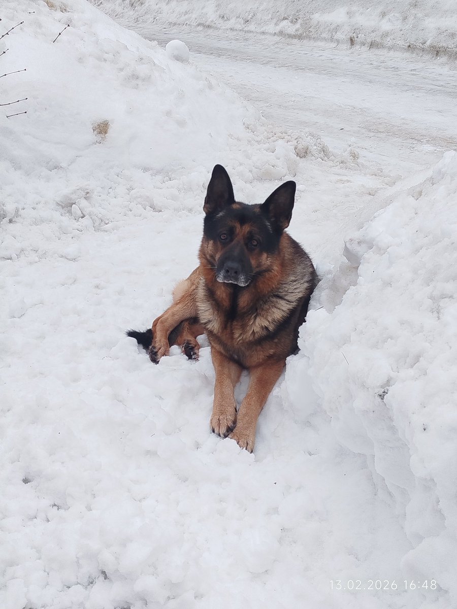 Бром tweet media