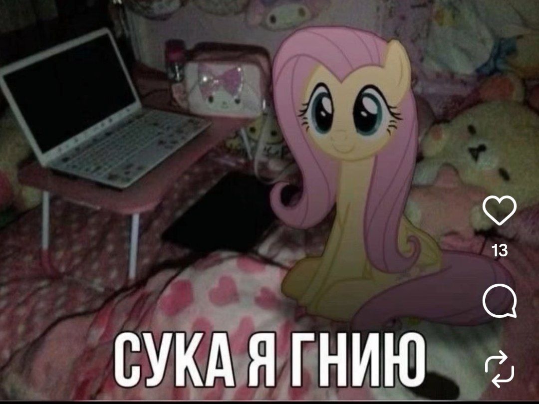 Ая-Рада tweet media