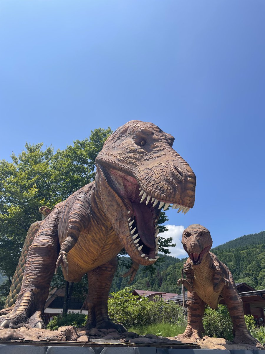 LifeNijiro's tweet photo. 今年辞める事を
今更ながらに三つ決めたぜ
一つは本心で行きたくないゴルフ
二つ目は本心で興味の無い競艇にBET
三つ目は本心で行きたくない飲み会

自分らしく生きる
残りの人生を

押忍 https://t.co/ZJbwG9ny81