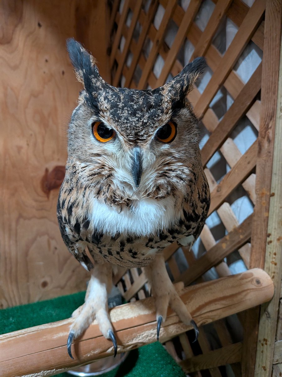 ただいま〜。ご飯持ってくるから、もう少し待っててね