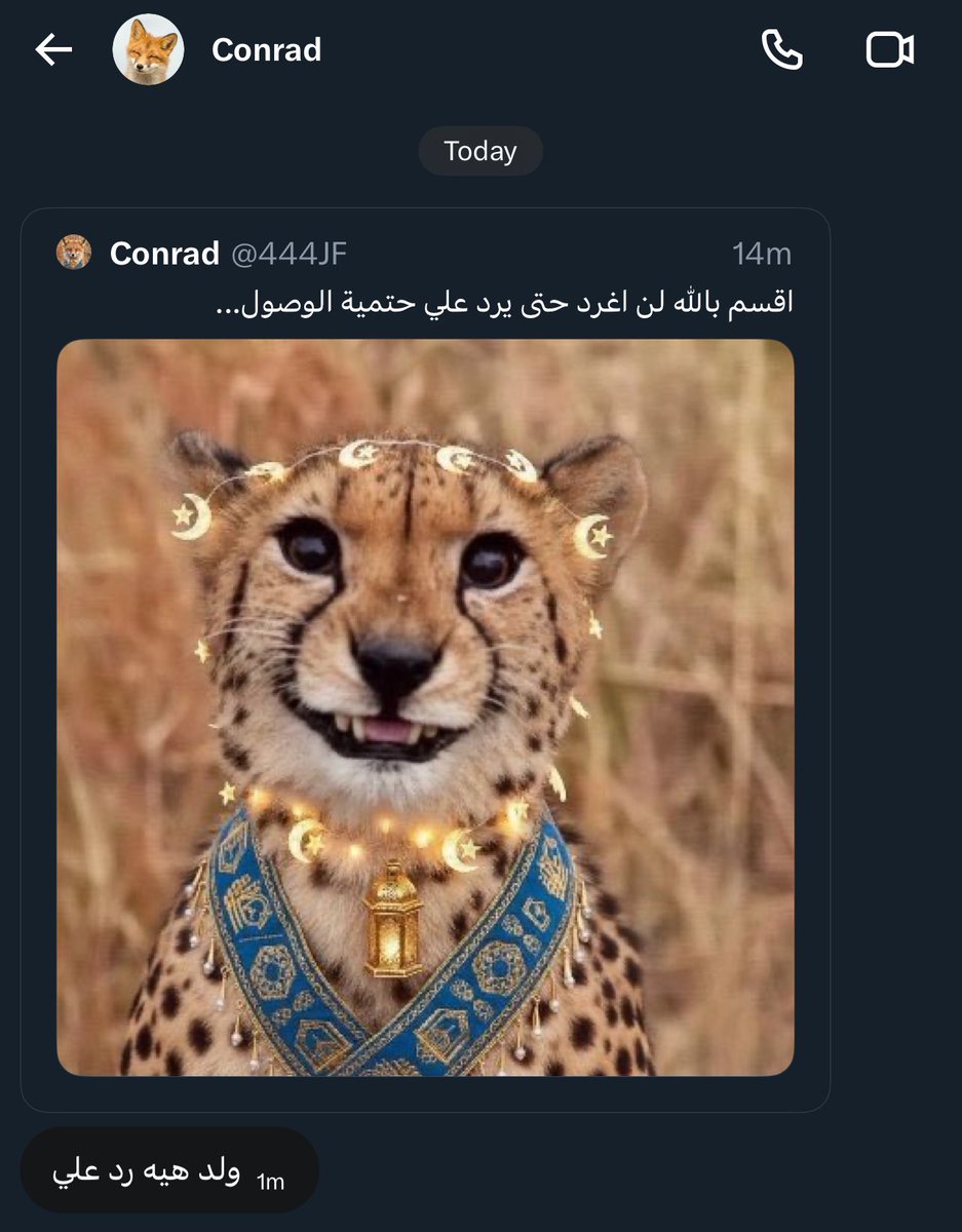 حتمية الوصول tweet media