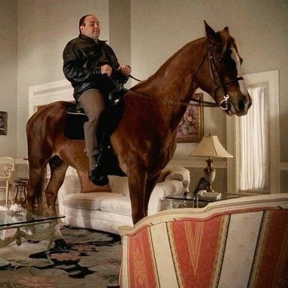 新年快乐，祝大家在新的一年里健康快乐。🎆🎉🥂🧧🎊