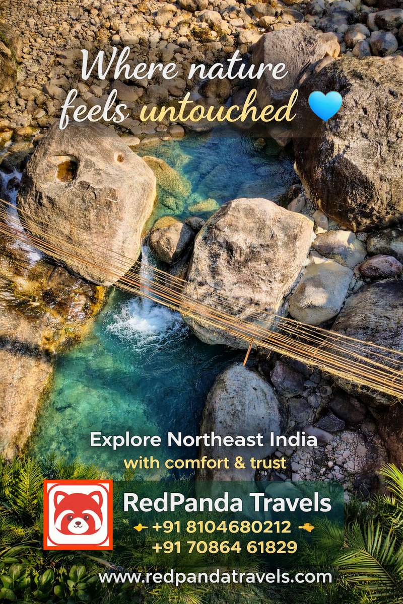 TravelsRedPanda's tweet photo. Discover the untouched beauty of Northeast India with RedPanda Travels.
Comfortable rides, trusted drivers, and unforgettable journeys across hidden gems and scenic escapes. 🌿💙
.
.
#RedPandaTravels #NortheastIndia #ExploreNortheast #TravelIndia #HiddenGems #NatureLovers #assam https://t.co/9I1Rm5rWcp