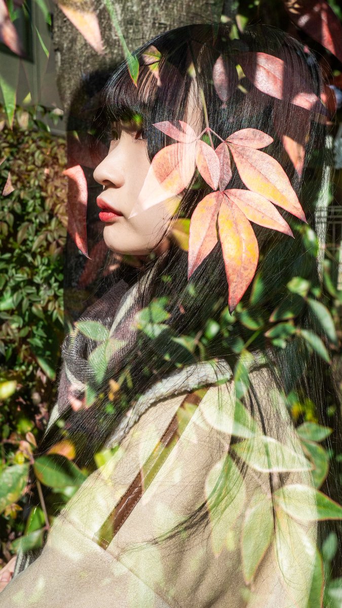 ひまわり🌻 (@sunflower_q10) / Posts / X