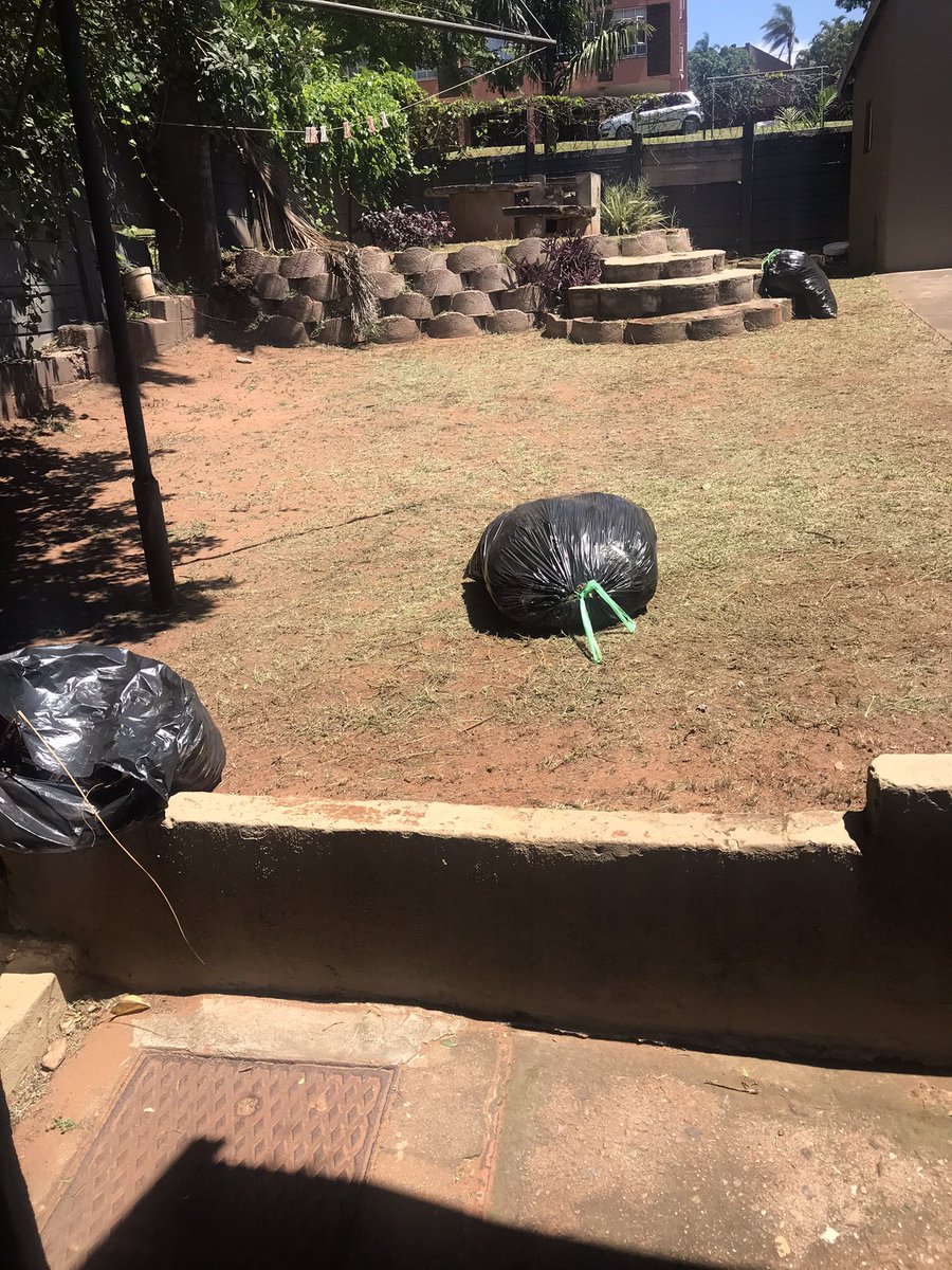 _HeRo112's tweet image. The freshness of garden service… Maintenance is expensive but it must be done… 

My gardener was so happy to see me, even said Happy New Year… Didn’t even realise I haven’t seen him this year…