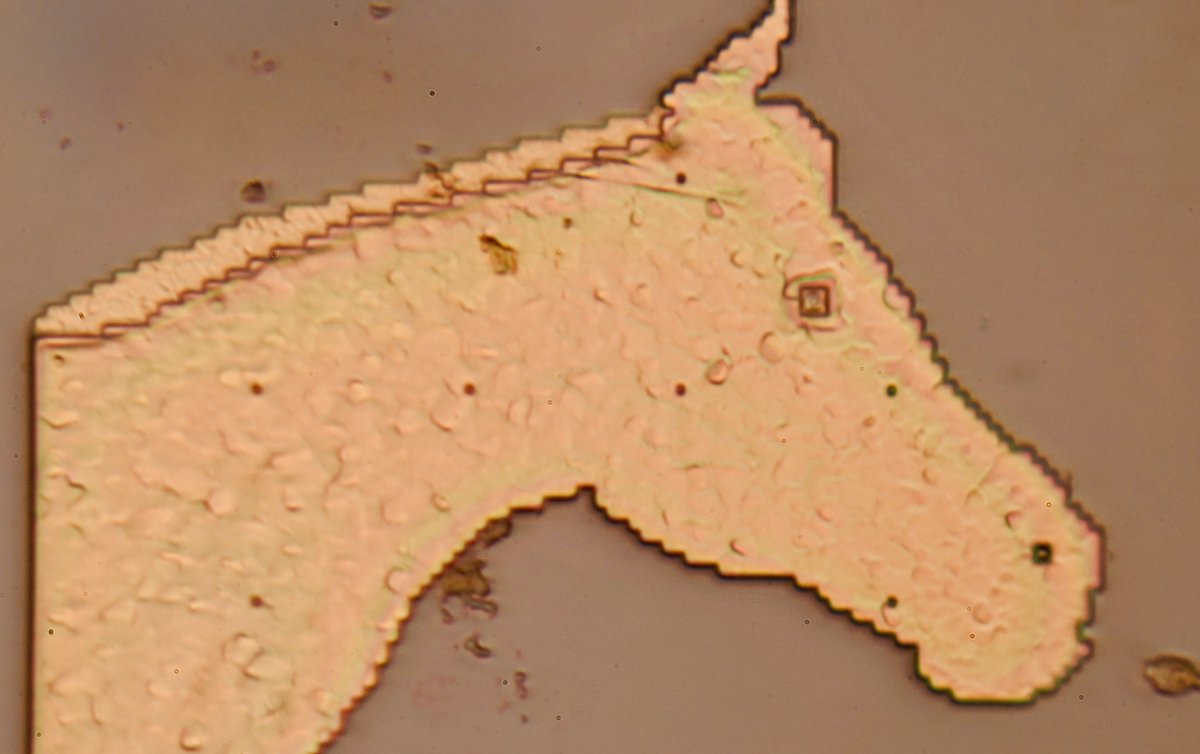 CPU Duke tweet media