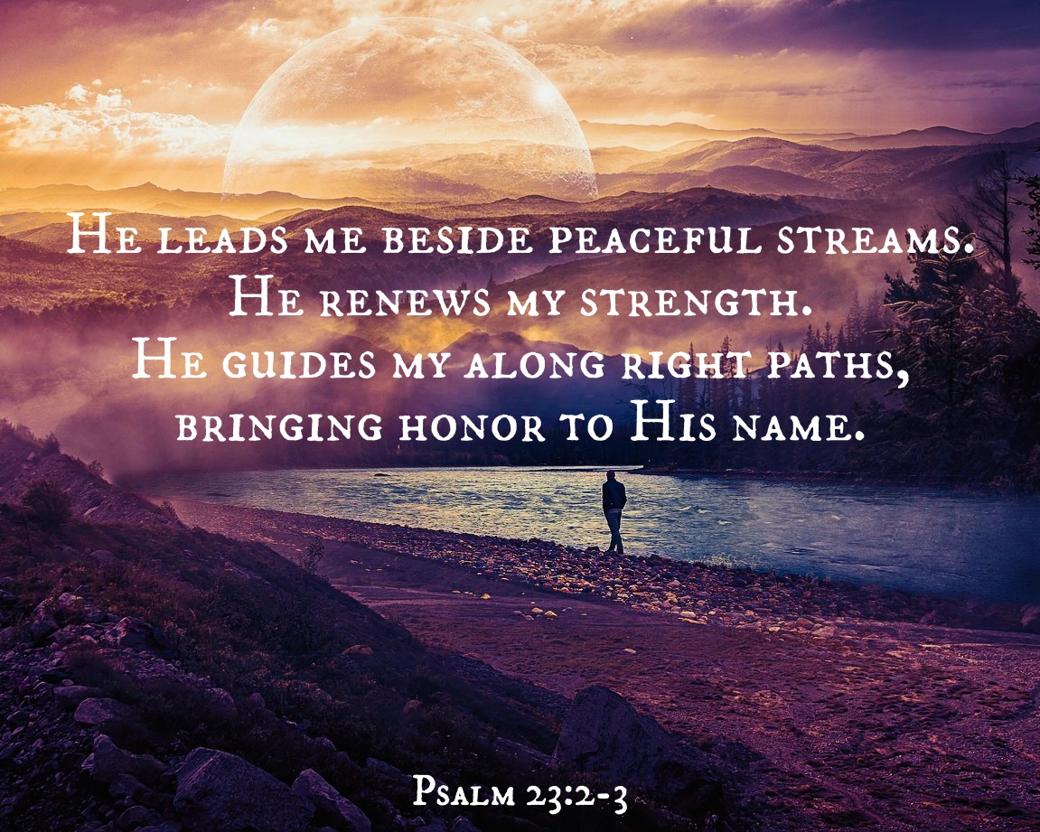 Nicole J. Eddy (@nicolejeddyblog) on Twitter photo 