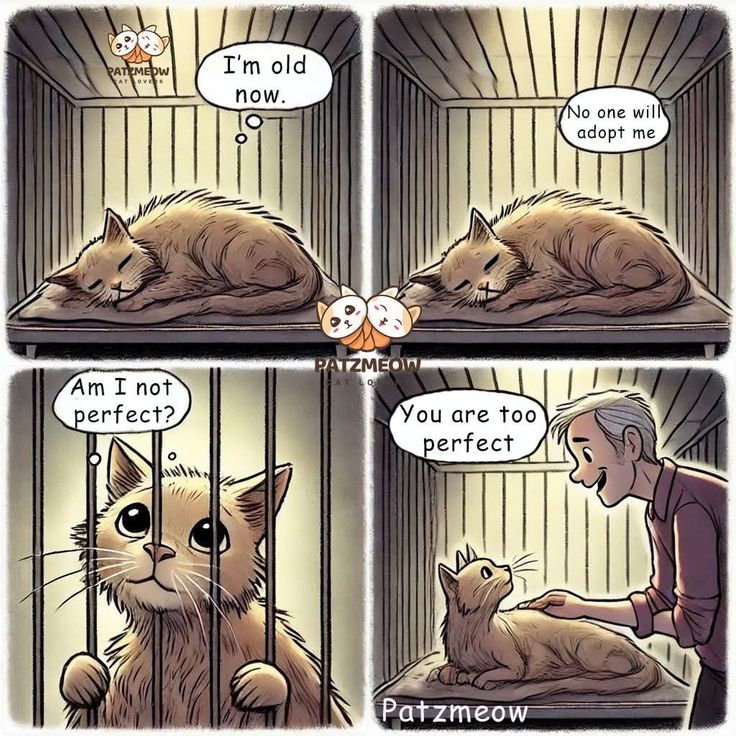 Posts Of Kittens🐾 (@postsofkittens) on X