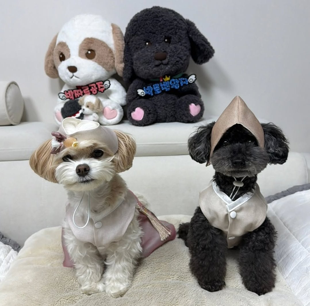 tobenstagram IG update 🤍

"happy new year 🐶"

the dolls wearing "princess park zzar " and "prince park toben' nameplates 🥹