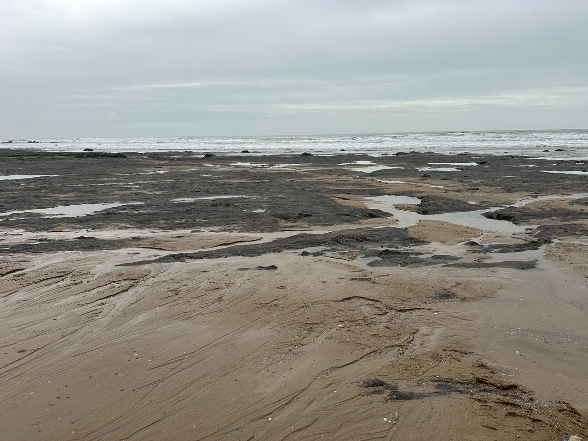 Question aux sablais et vendéens, j’ai le sentiment que les rochers sont plus près du remblai et que la plage est mangée ? Est que <a href="/VilleDesSables/">Ville des Sables d'Olonne</a> met du sable en + au moment venu ? 🏖️

Cc <a href="/lessables/">Les Sables d'Olonne</a>