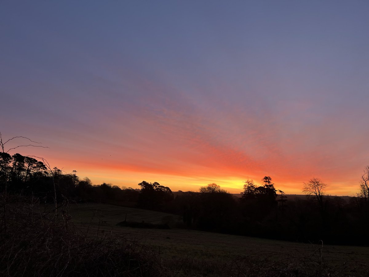 Evocative Cornwall tweet media