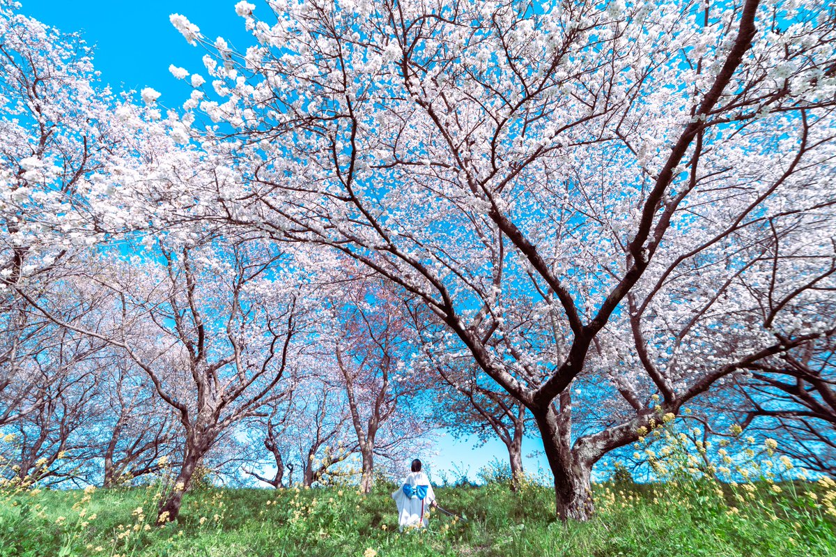 𝓗𝓪𝓹𝓹𝔂 𝓑𝓲𝓻𝓽𝓱𝓭𝓪𝔂…

#両儀式生誕祭2026 #空の境界