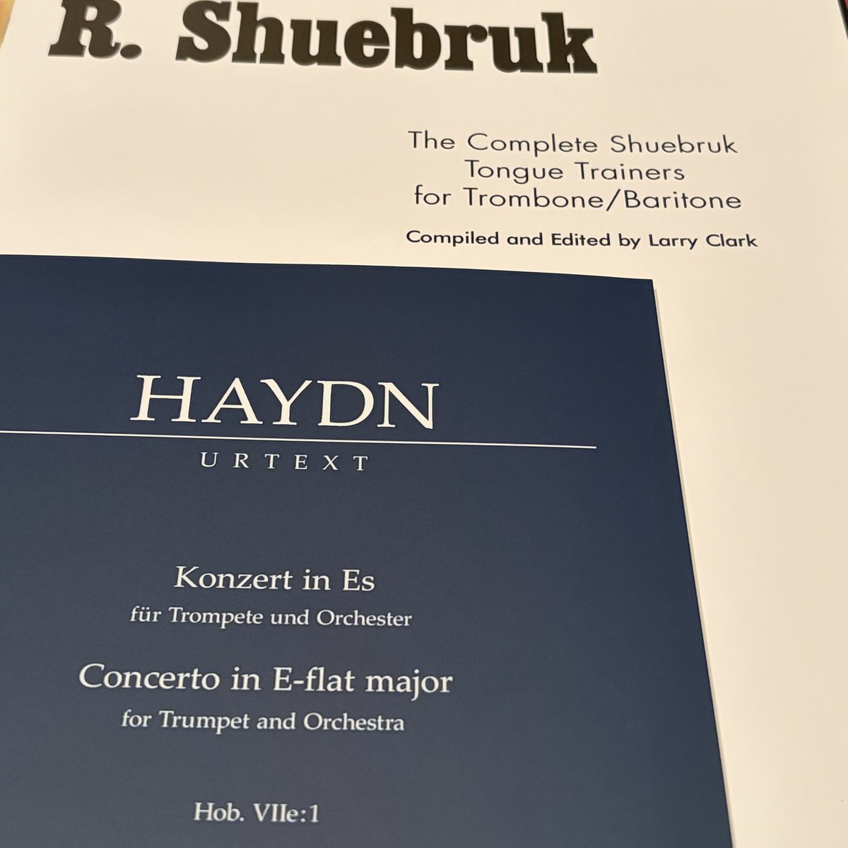 また何か買ってしまった（積読）

シューブルックさん、トランペットとトロンボーンのためのデュエット集を２つほど作った人で、それはimslpで閲覧できるんだけど、調べてたらタンギングやアンブシュアについての教本を書いてて気になったから買ってしまった📚

ハイドンは出来心です🫶