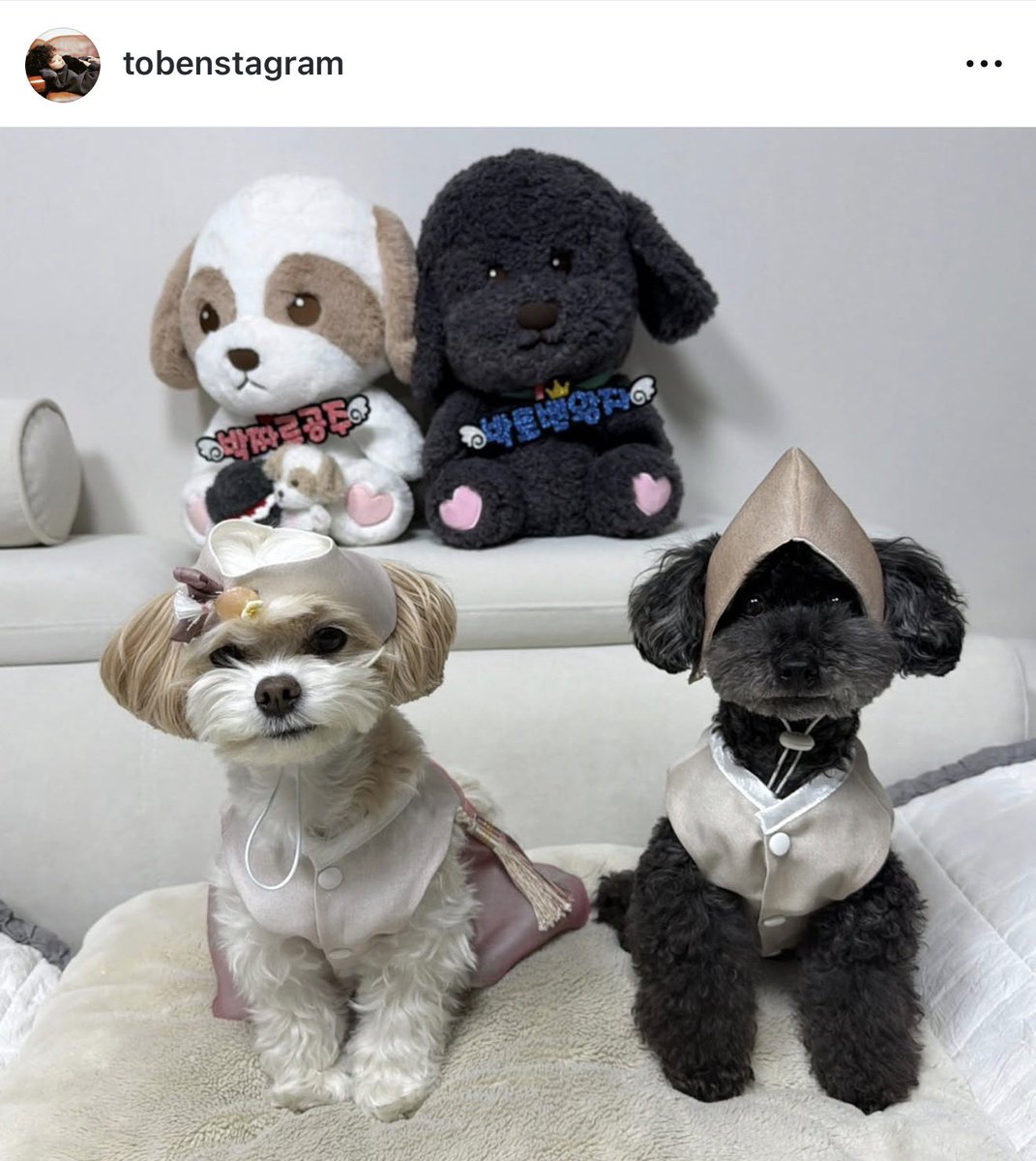 >~< 성은이 망극해요 하 ㅠㅠ 

사랑해요 토벤아 짜르야 언제나 건강만해