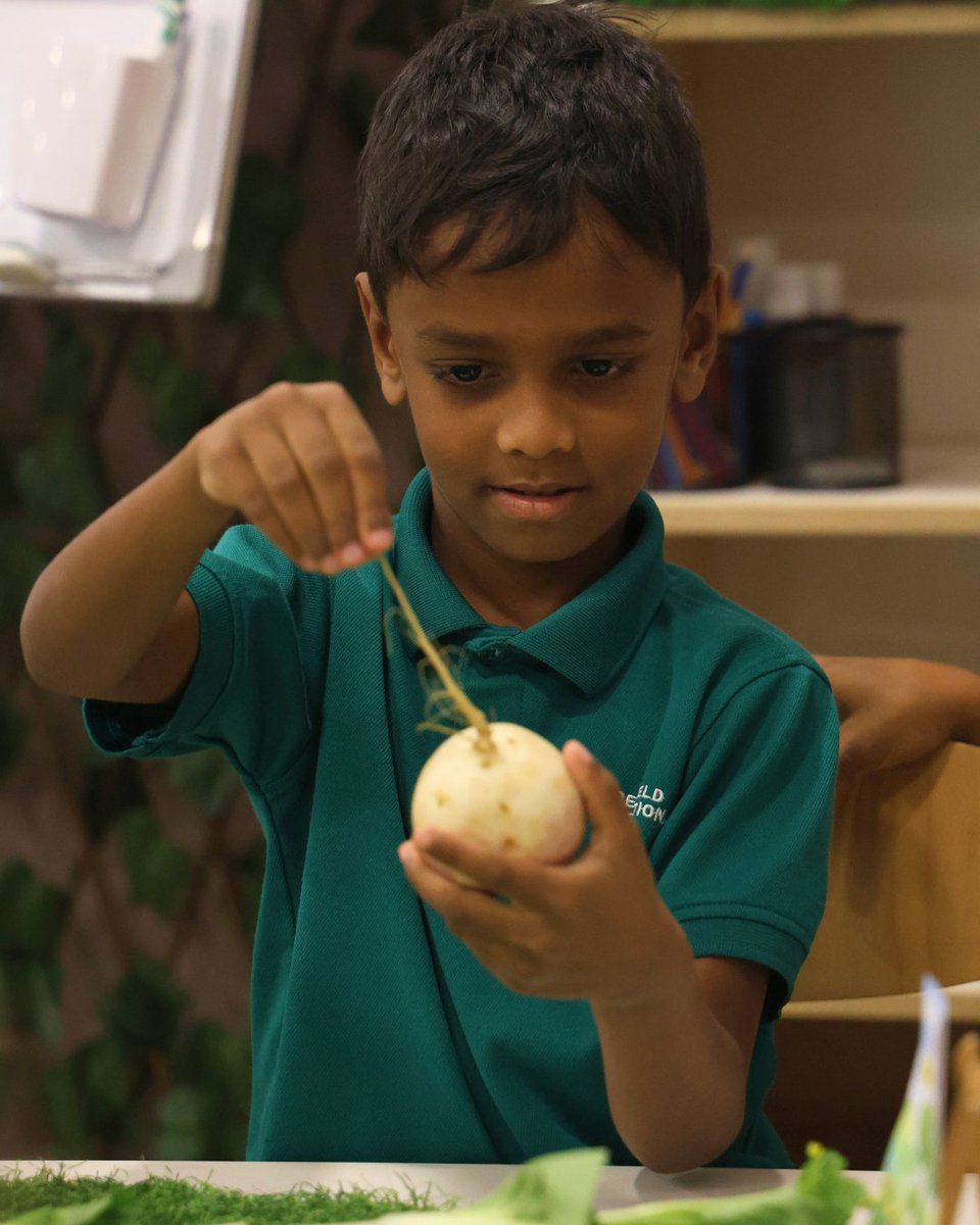 Greenfield International School tweet media