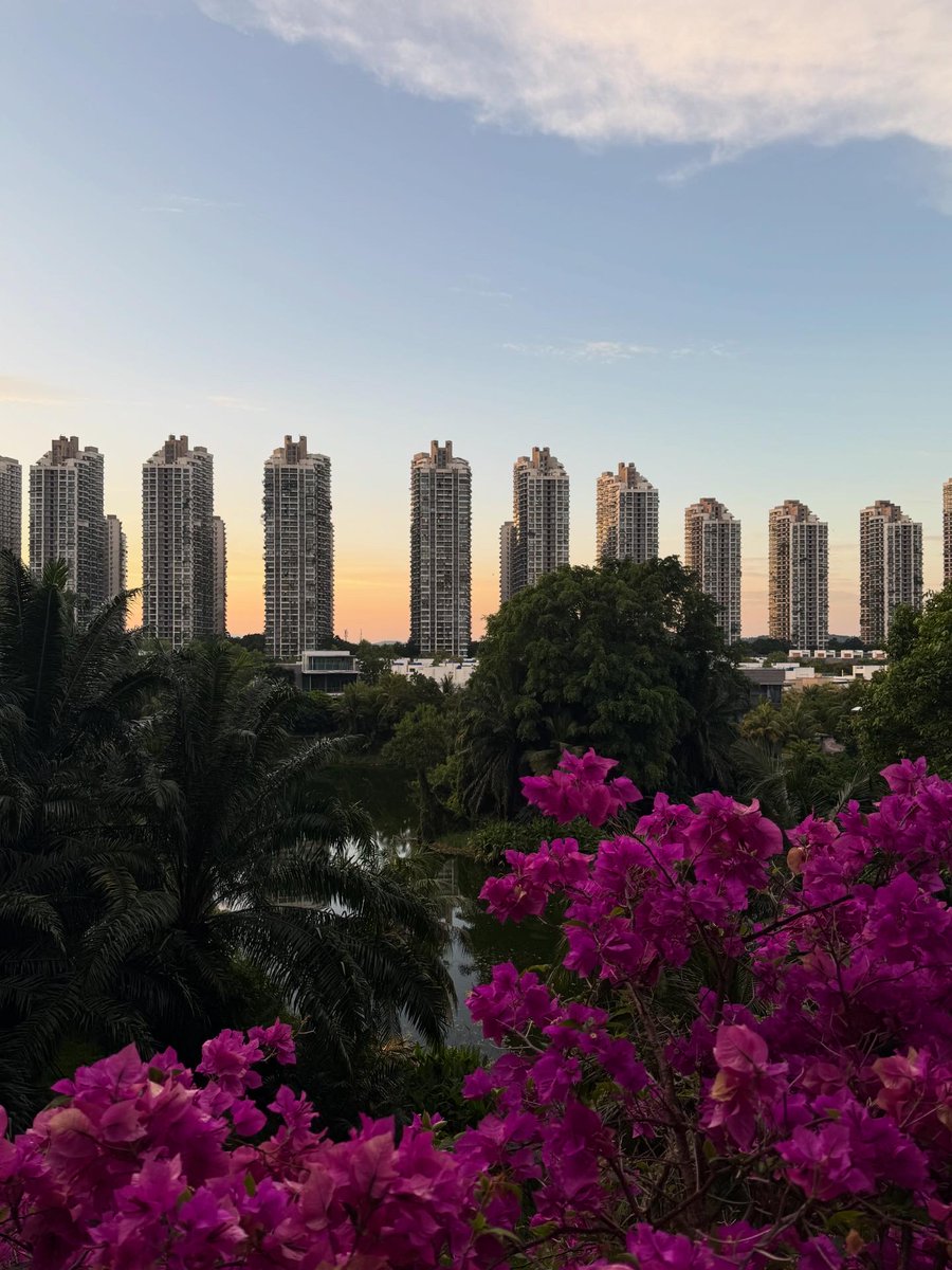 Gyan 高言 tweet media