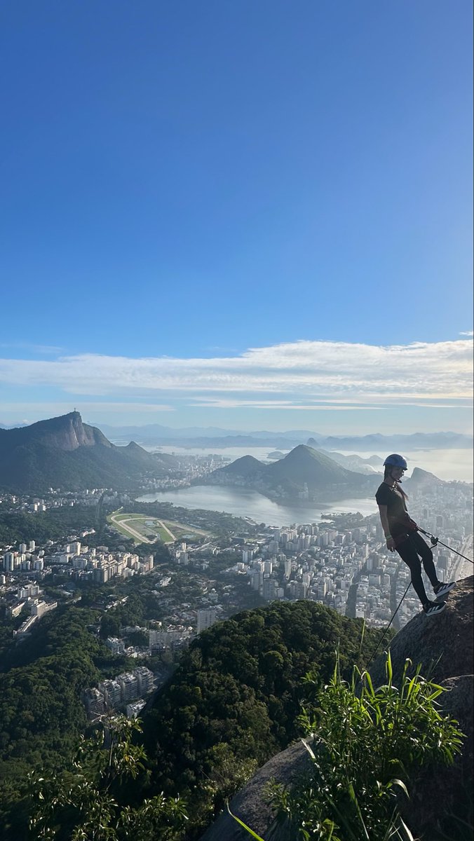 José Morgado tweet media