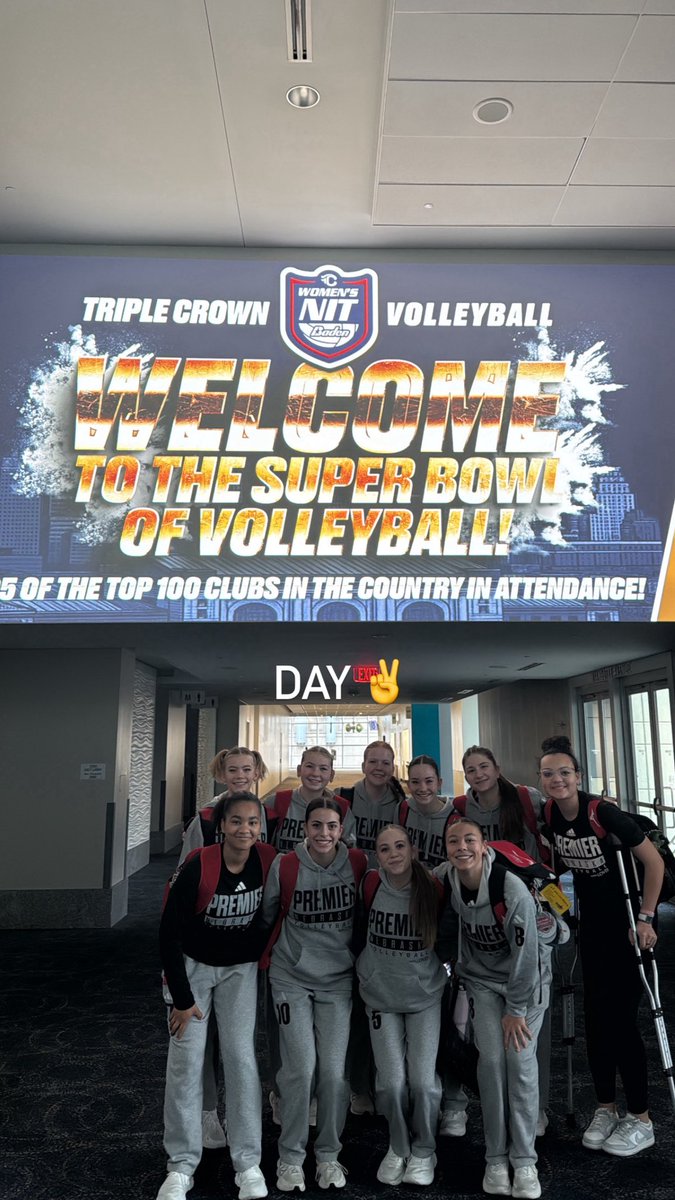 Premier 14 Gold tweet media