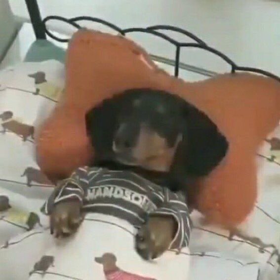 la alarma sonando desde hace una hora

yo: