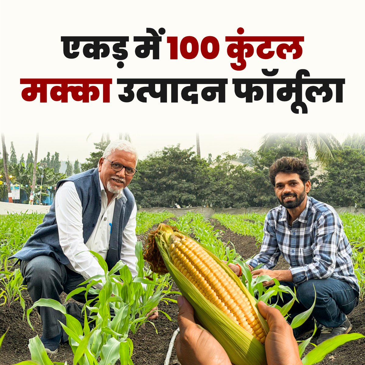 News Potli English tweet media