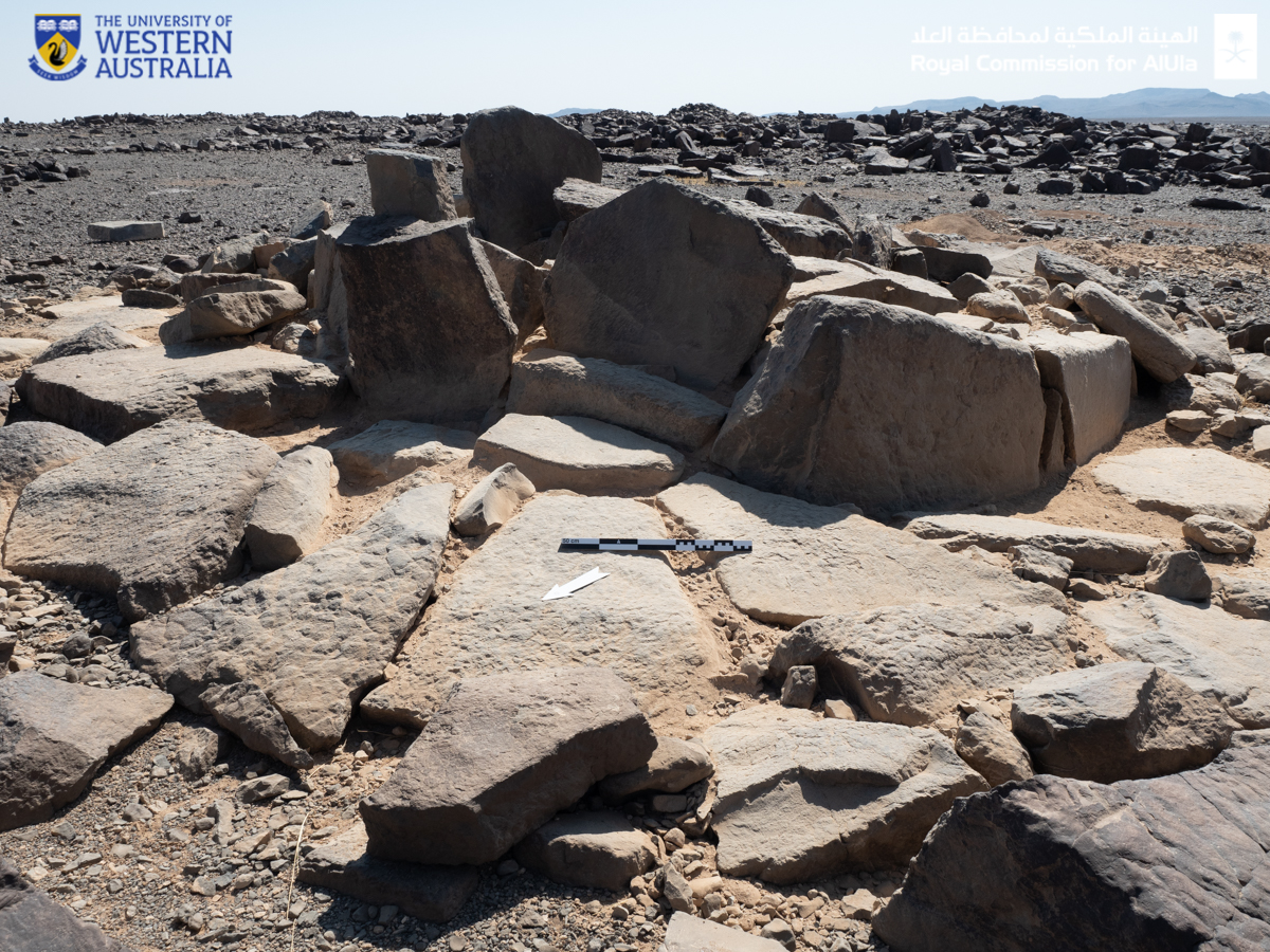 In 2019, we excavated this tomb in northwest Saudi Arabia. Inside, we found the remains of at least 11 individuals dating to around 6,000 years ago.

But we also found something completely unexpected!

Want to dig deeper? Check out my new video: 
LINK👉 youtu.be/McxR_B7eOYQ