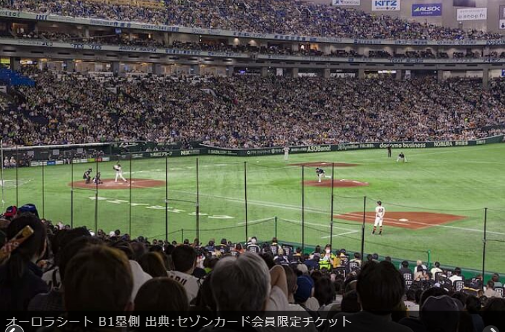 超希少*巨人戦 ヤクルト戦 バックスクリーンクラブシート 【公式通販】
