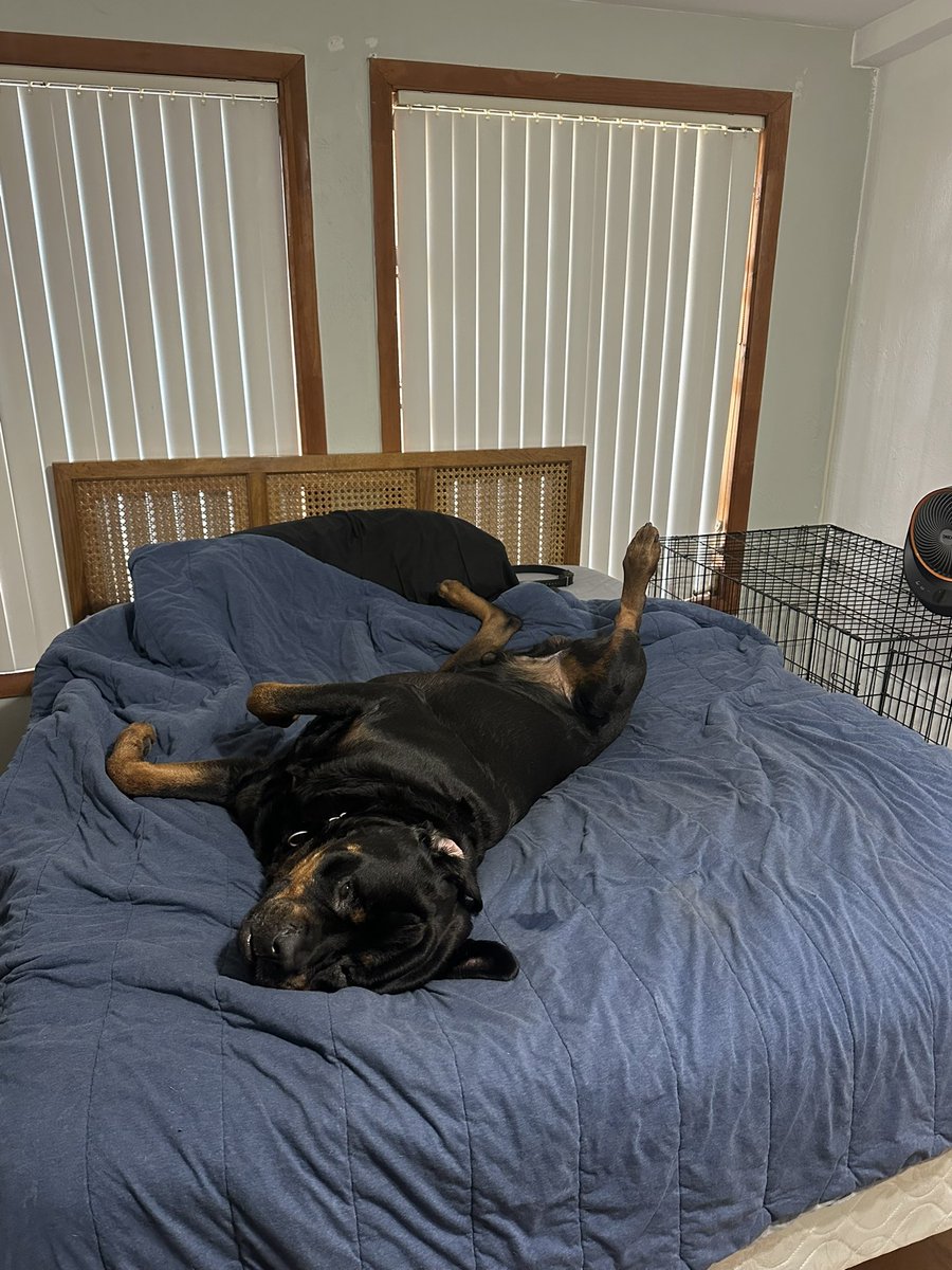 Frank turcotte tweet media