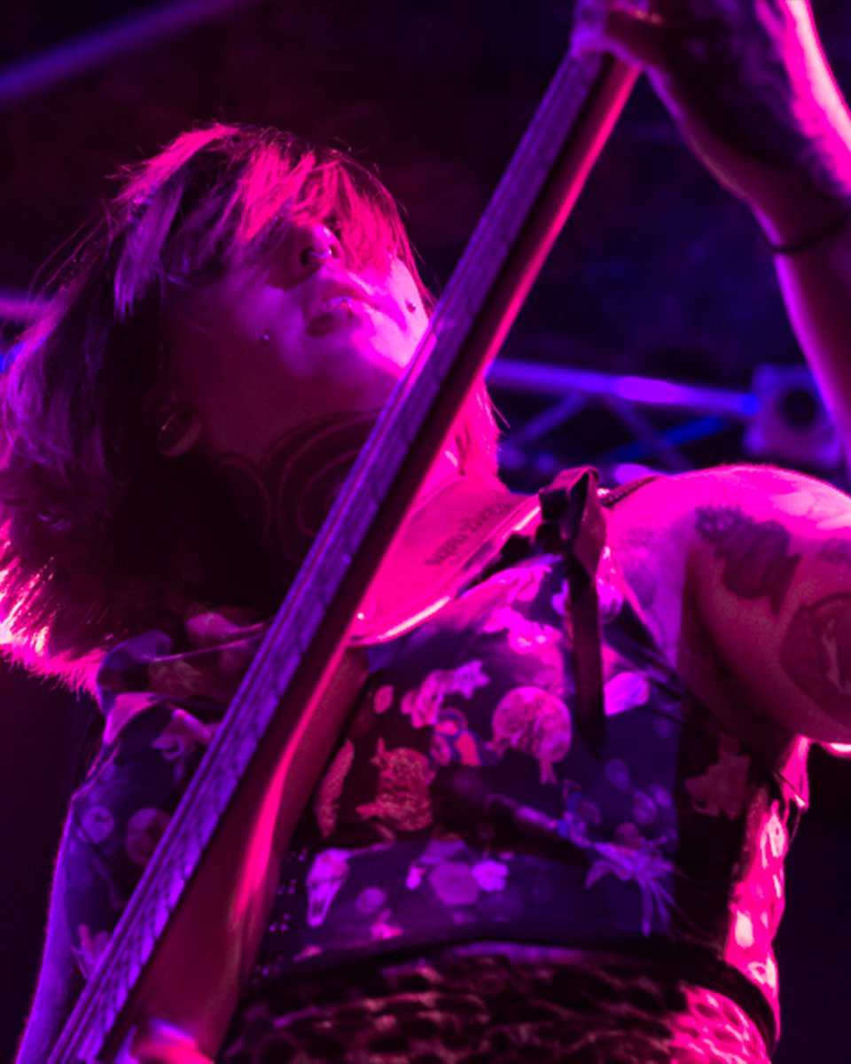 TRANSGENRE tweet media