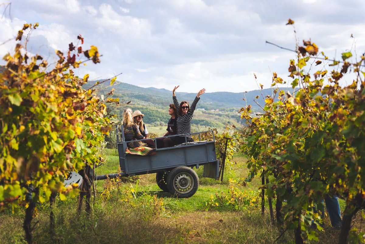 ave_tour's tweet photo. Wine tour vibes 🍇 
#tour #winetour #albania https://t.co/R0rlSBPDJH