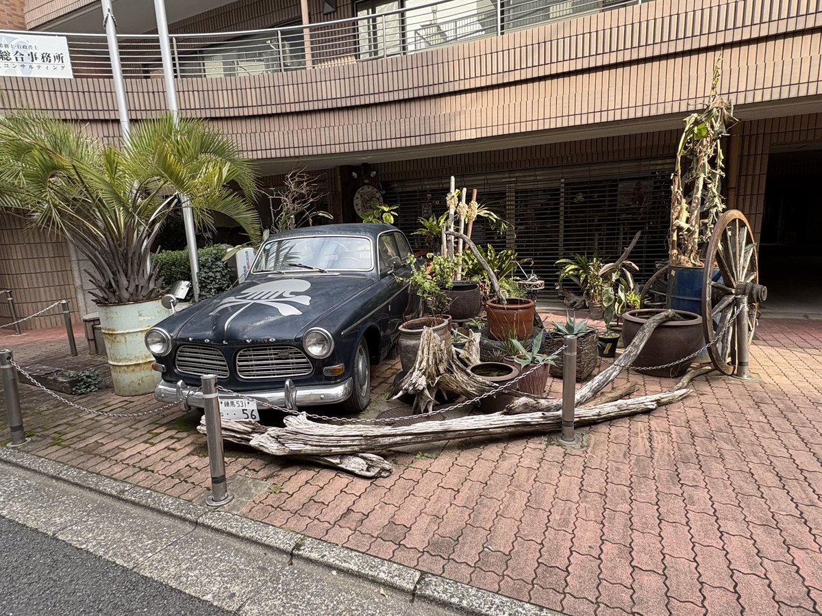 Lena Tsao tweet media