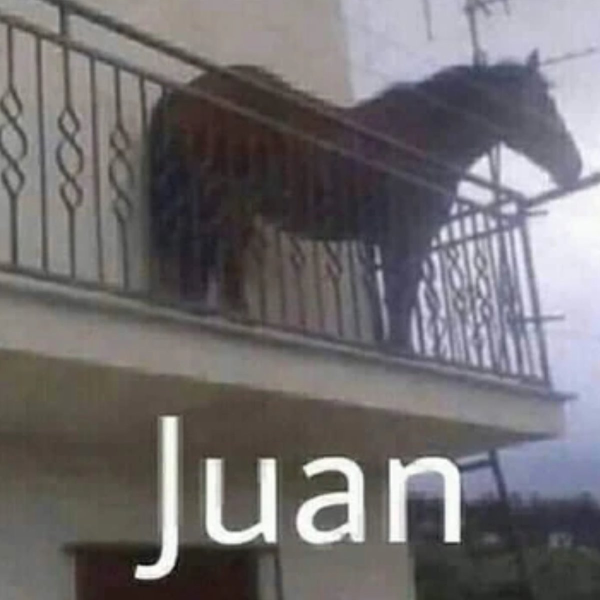 AxelionGD tweet media