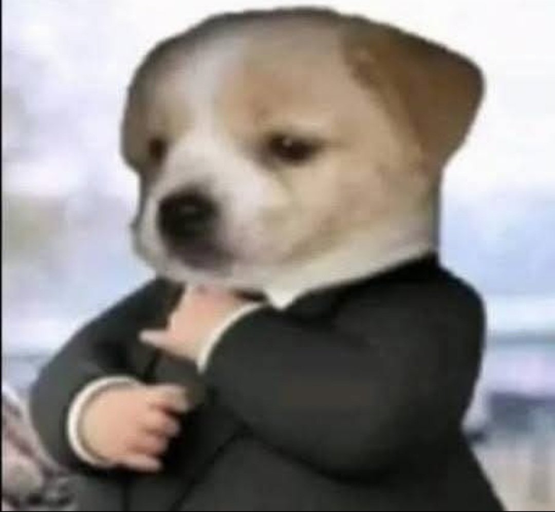 Ya volví a abrir comisiones luego de un descanso