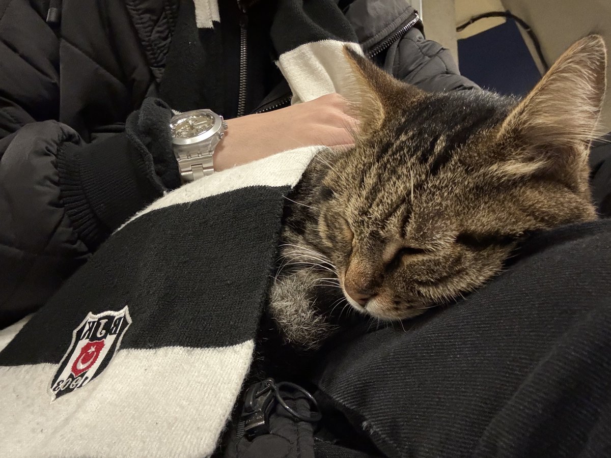 kutlu olsun bebegim🤍