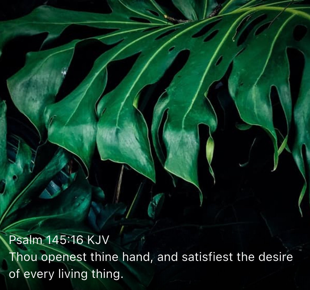 New Testament Christian Church Of Brooklyn, NY tweet media