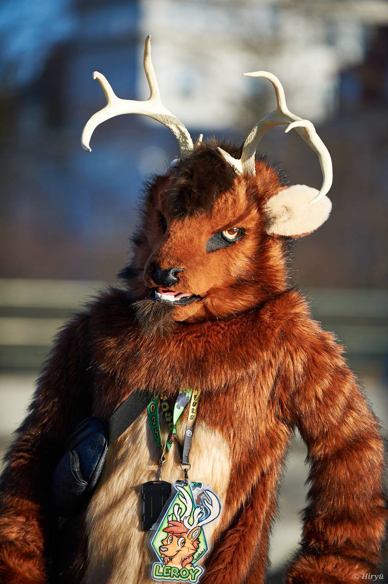 DeerLeroy's tweet photo. I am now here in nfc if you want to see me to take pictures, hug me, or say hi, I'm here :) #NordicFuzzCon #NFC2026 https://t.co/q7wMbeBMfy
