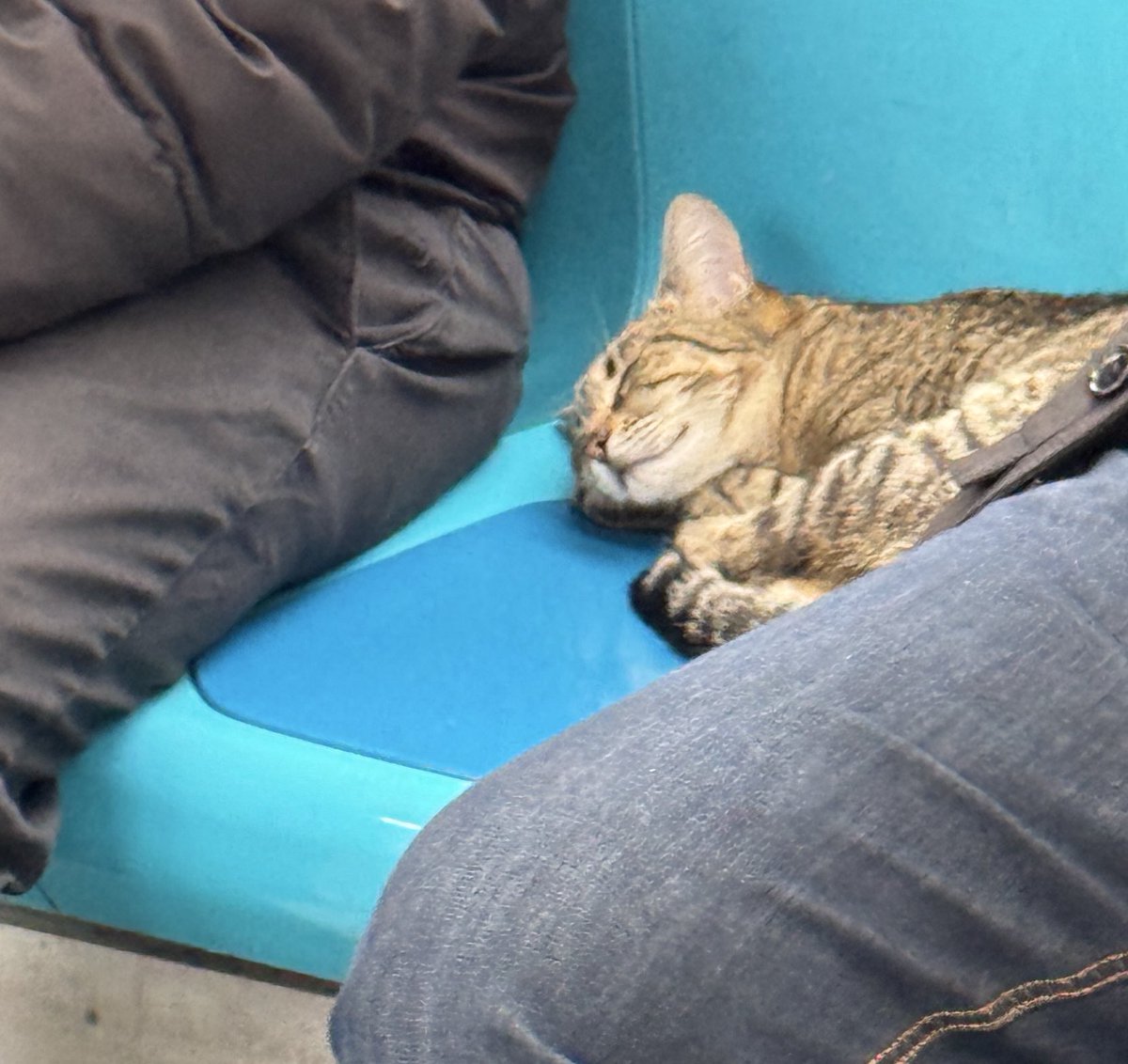 Marmaray’da uzakta görülen tek bir boş koltuk vardı, ayakta olanlar da oturmuyor diye koltuğa doğru yaklaştım, denk geldiğim manzara da bu oldu :)